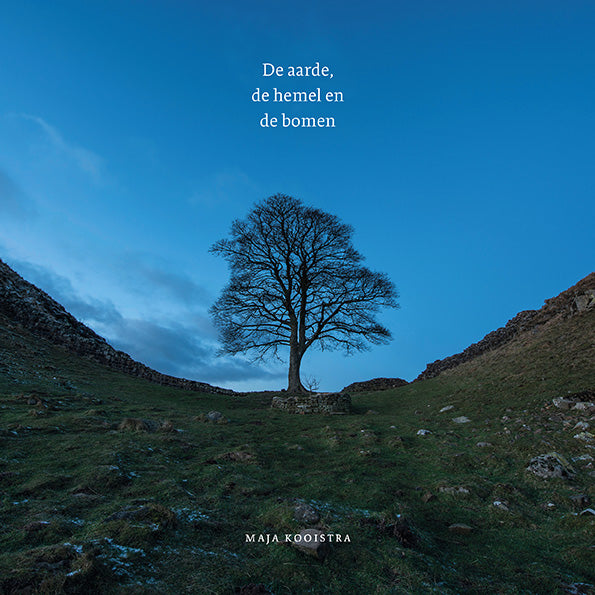 A3 boeken De aarde de hemel en de bomen 1 Stuks