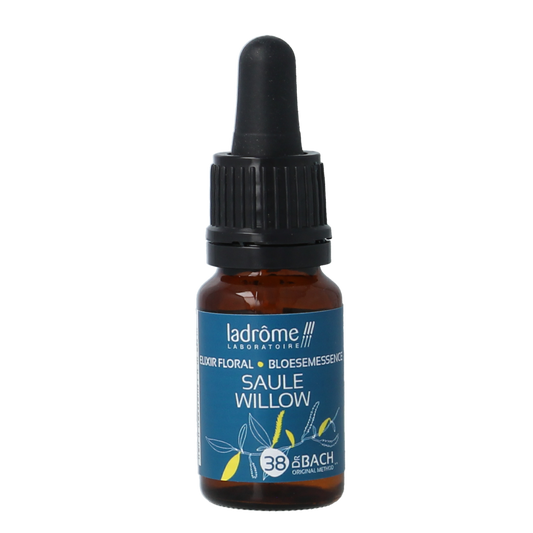 Ladrome Willow bio 10.00 Milliliter