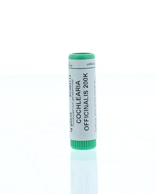 Homeoden Heel Cochlearia officinalis 200K 1.00 Gram