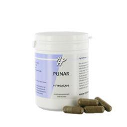 Holisan Punar vegetarian herbal capsules in a bottle, herbal supplement packaging with green accents.