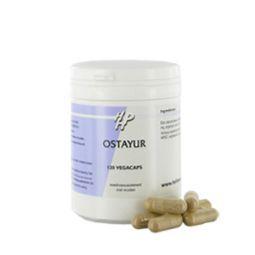 Holisan Ostayur 120 vegetarian herbal capsules in a bottle, used as herbal supplement for digestive health.