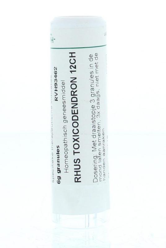 Homeoden Heel Rhus toxicodendron 12CH 6.00 Gram