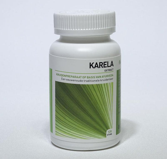 Ayurveda Health Karela momordica 120.00 Tabletten