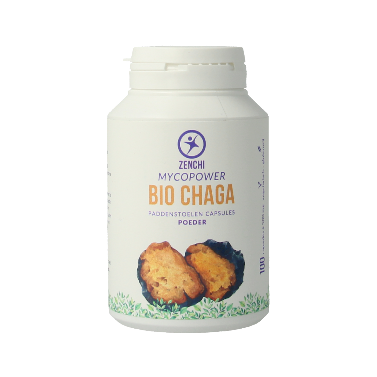 Mycopower Chaga bio 100.00 Capsules