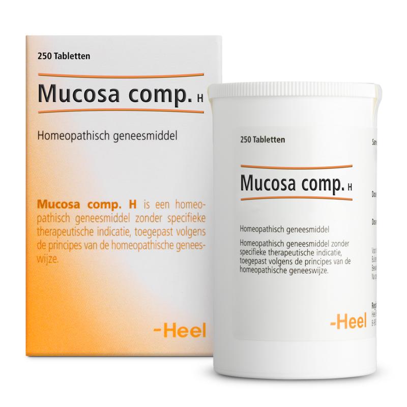 Heel Mucosa compositum H 250.00 Tabletten