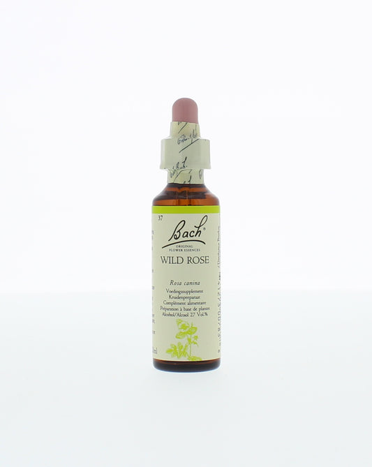 Bach Wild rose/hondsroos 20.00 Milliliter