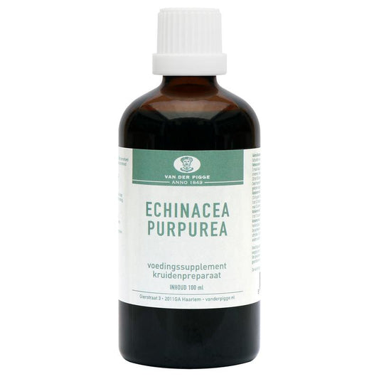 Bottle of van der Pigge Echinacea purpurea herbal preparation, 100ml, in a clear glass container with a label.