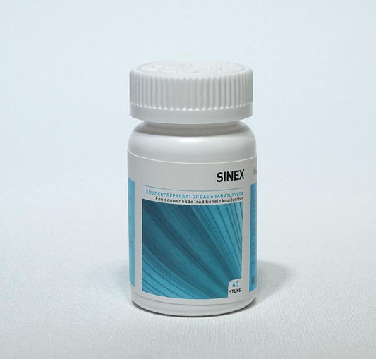 Ayurveda Health Sinex 60.00 Tabletten