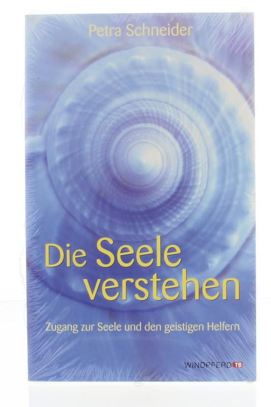 Lichtwesen Die Seele Verstehen book cover, spiritual guide in German, featuring celestial artwork and calming design elements.