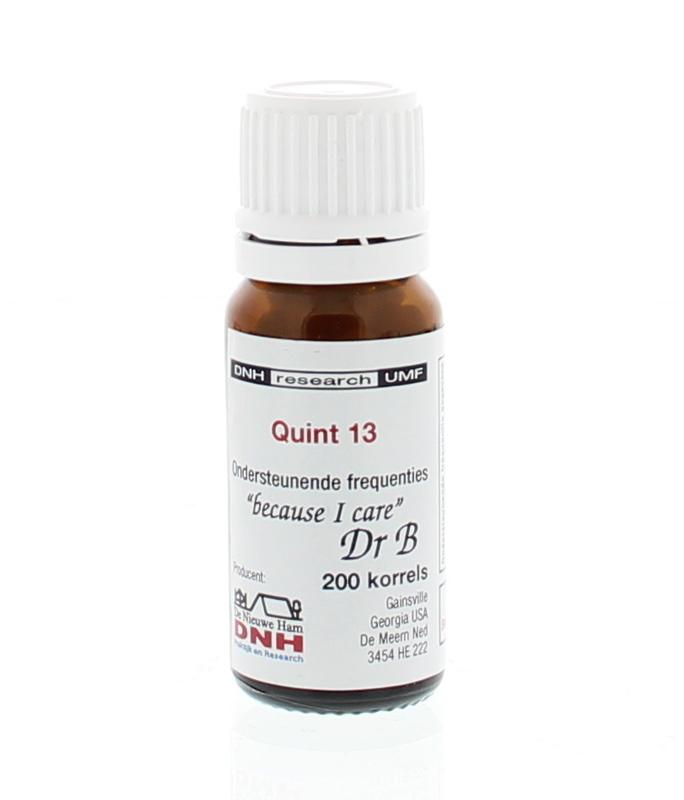 DNH Quint 13 BMYD herbal supplement capsules, 200 count, in a clear container with label, for natural health support