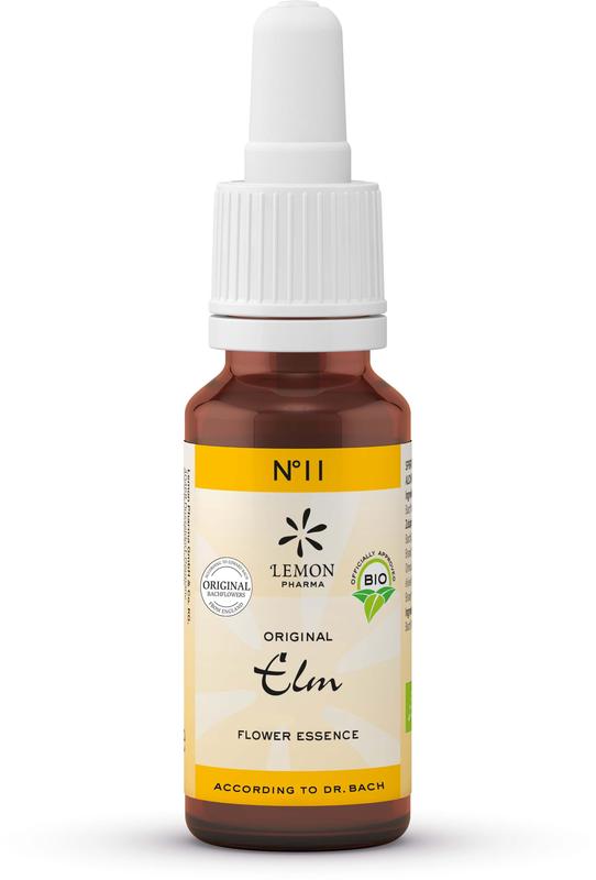 Bach Bloesem Elm bio 20 Milliliter