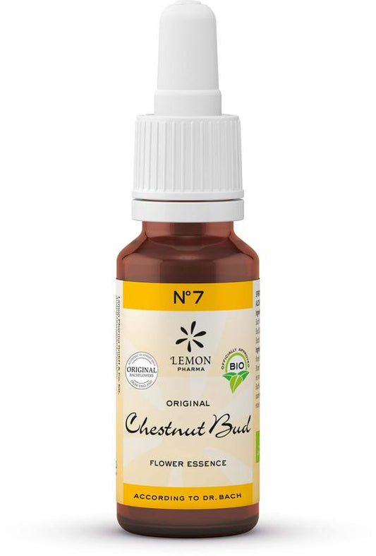 Bach Bloesem Chestnut Bud bio herbal remedy in 20ml bottle, natural herbal preparation from Bach Bloesem brand.