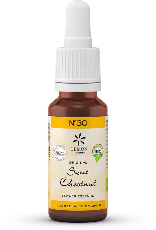 Bach Bloesem Sweet chestnut bio 20 Milliliter