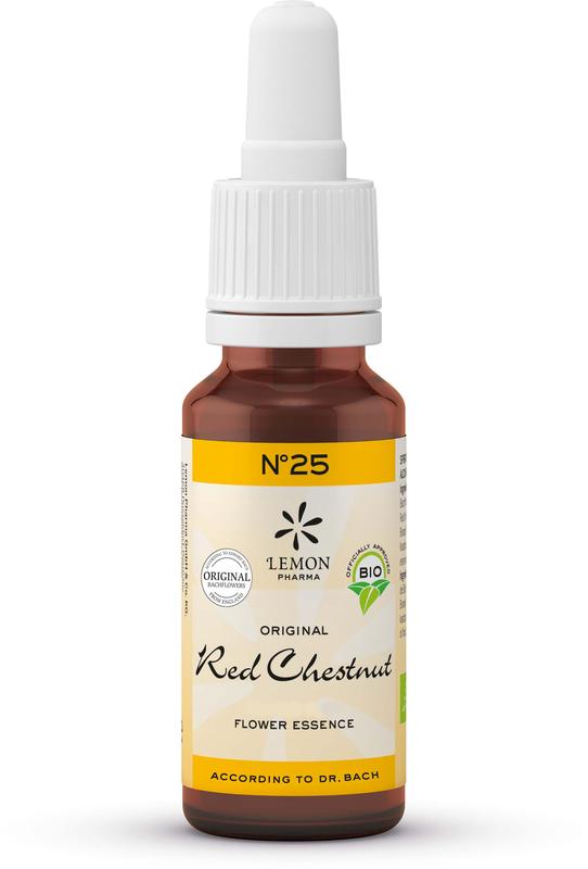 Bach Bloesem remedies red chestnut herbal preparation in a 20ml bottle, natural herbal supplement for emotional well-being.