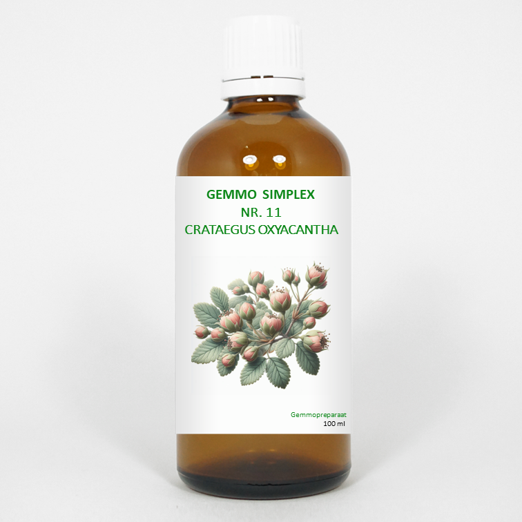 Balancepharma Gemmo Simplex 11 Crataegus oxyacantha herbal tincture in a 100ml bottle, used as a herbal supplement.