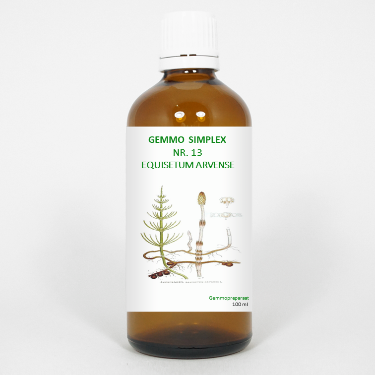 Balancepharma Gemmo simplex 13 equisetum arvense 100.00 Milliliter