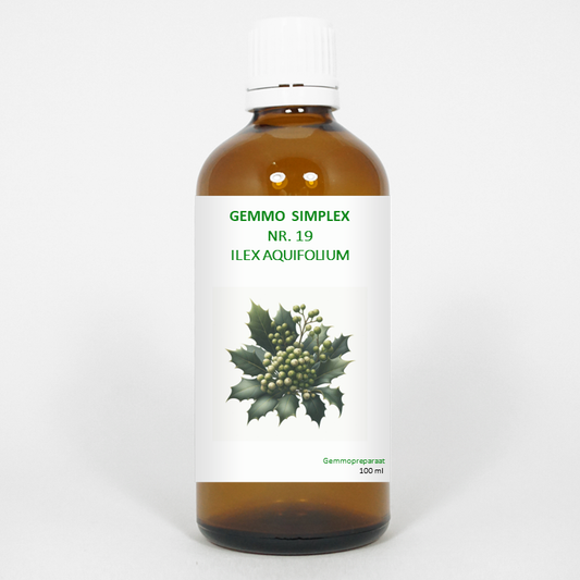 Balancepharma Gemmo simplex 19 ilex aquifolium 100.00 Milliliter