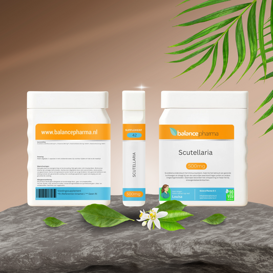 Balancepharma Supplements Scuttelaria herbal capsules in a bottle, vegetarian herbal supplement from Balancepharma, 90 capsules.