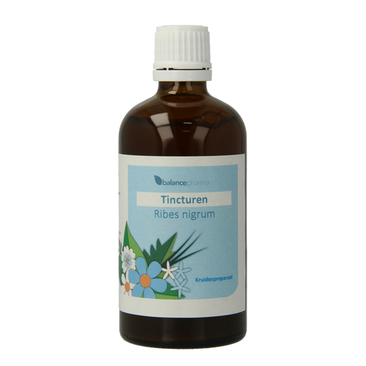Balancepharma Ribes nigrum tincturen 100.00 Milliliter