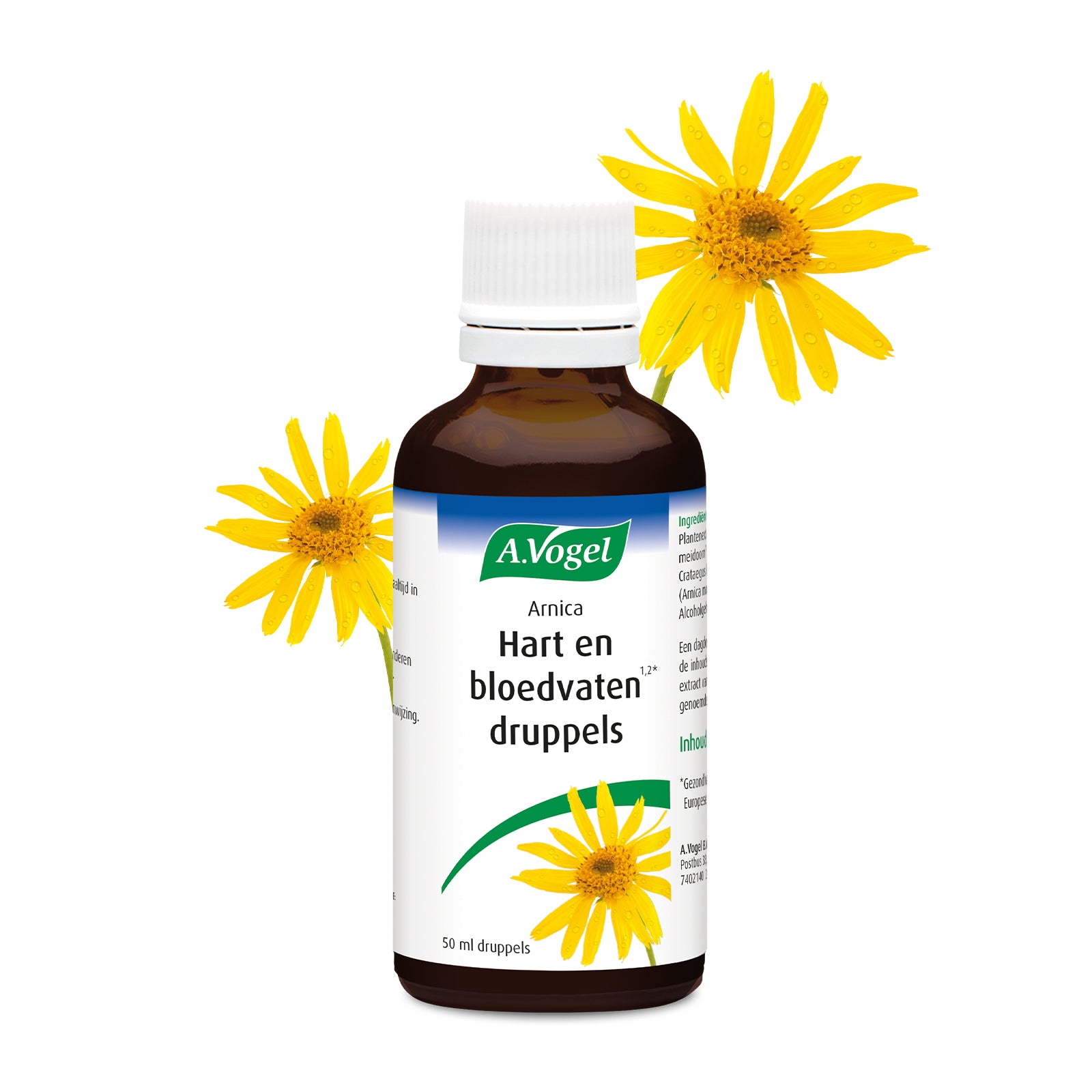 A Vogel Arnica hart en bloedvaten 50 Milliliter