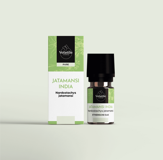 Volatile Jatamansi essential oil in 5ml bottle, natural aromatic etheric oil for wellness and relaxation.