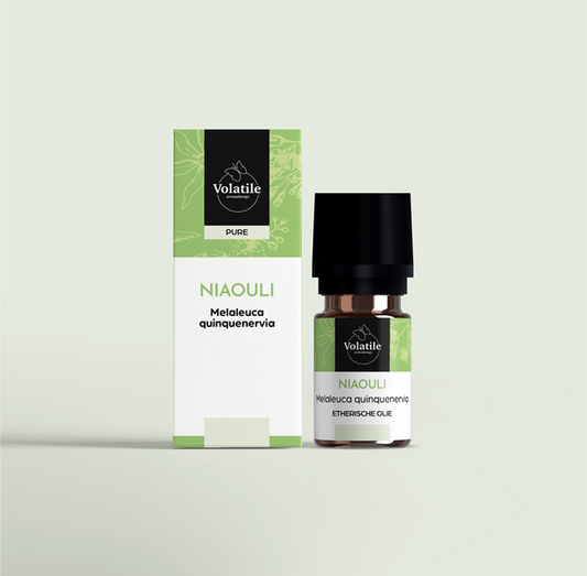 Volatile Niaouli essential oil in 5ml bottle with dropper, natural aromatic oil for wellness and aromatherapy.