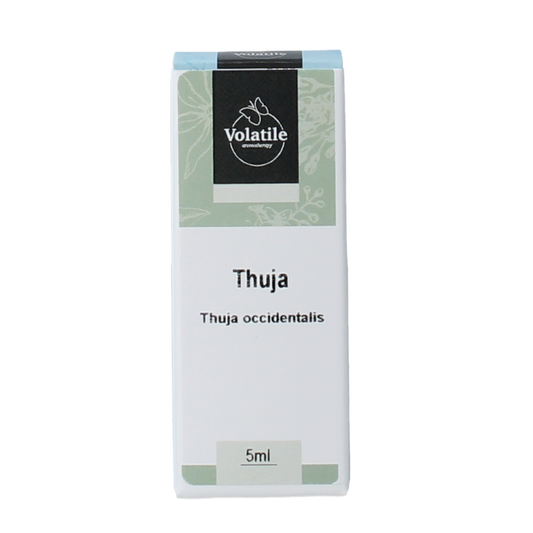 Volatile Thuja essential oil bottle with 5ml capacity, amber glass with white cap, label displaying product details.