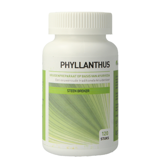 Ayurveda Health Phyllanthus niruri 120.00 Tabletten