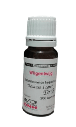 DNH Wilgentwijg 200.00 Stuks