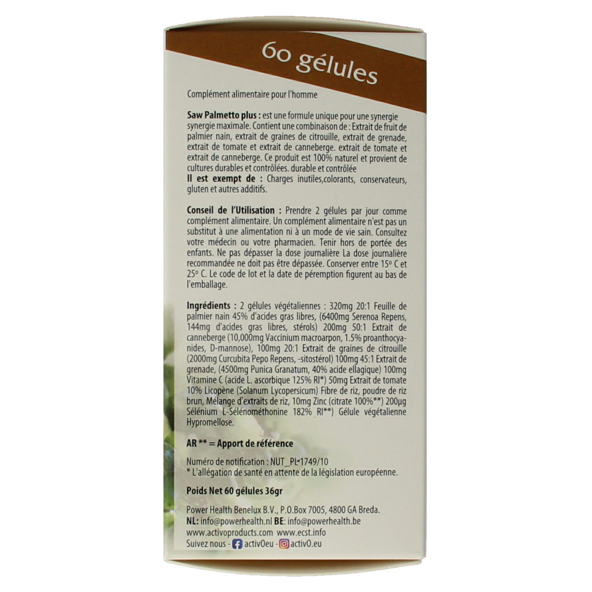 Activo Saw Palmetto Plus vegetarian capsules, herbal supplement for prostate health, shown in a bottle with capsules.