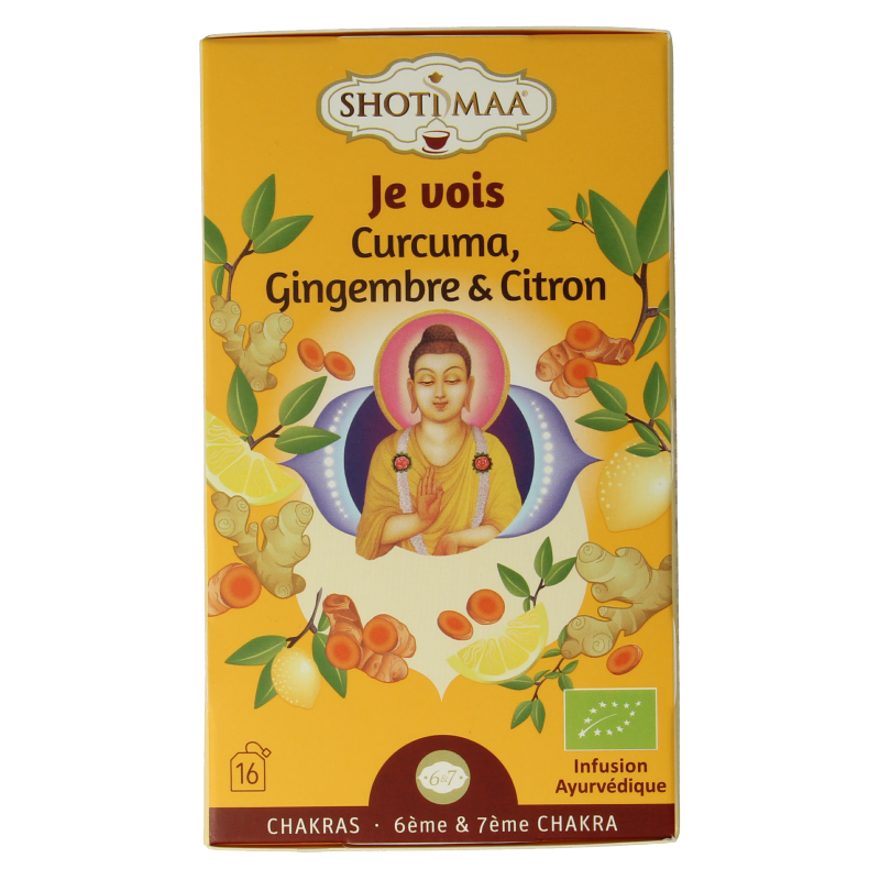 Shoti Maa Vision bio 16 Zakjes
