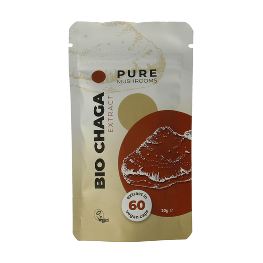 Pure Mushrooms Chaga mushroom extract in vegetarian capsules, organic herbal supplement, close-up of the product bottle and capsules.