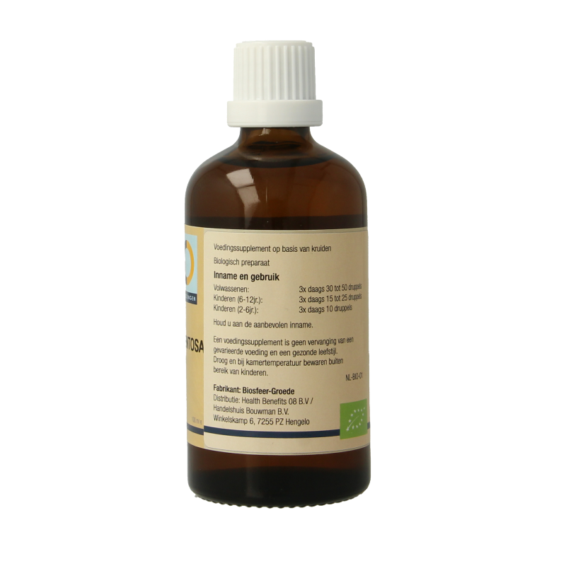 GO Tilia tomentosa bio 100 Milliliter