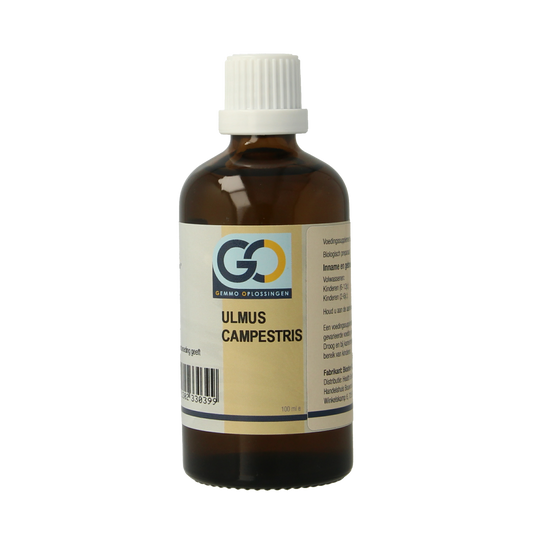 GO Ulmus campestris bio 100.00 Milliliter