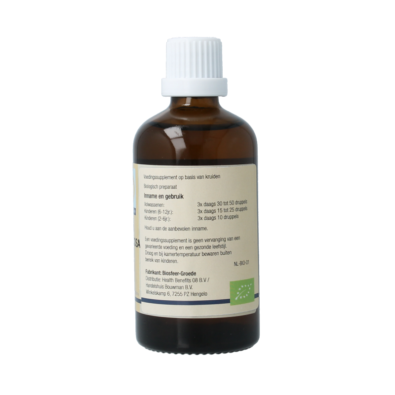 GO Betula verrucosa bio 100 Milliliter