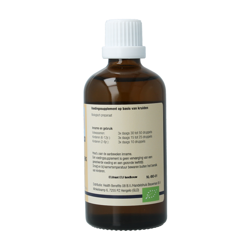 GO Buxus sempervirens bio 100 Milliliter