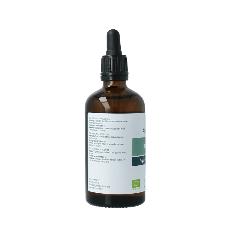 Aromedica Beuk gemmo tinctuur - Fagus sylvatica bio 100 Milliliter