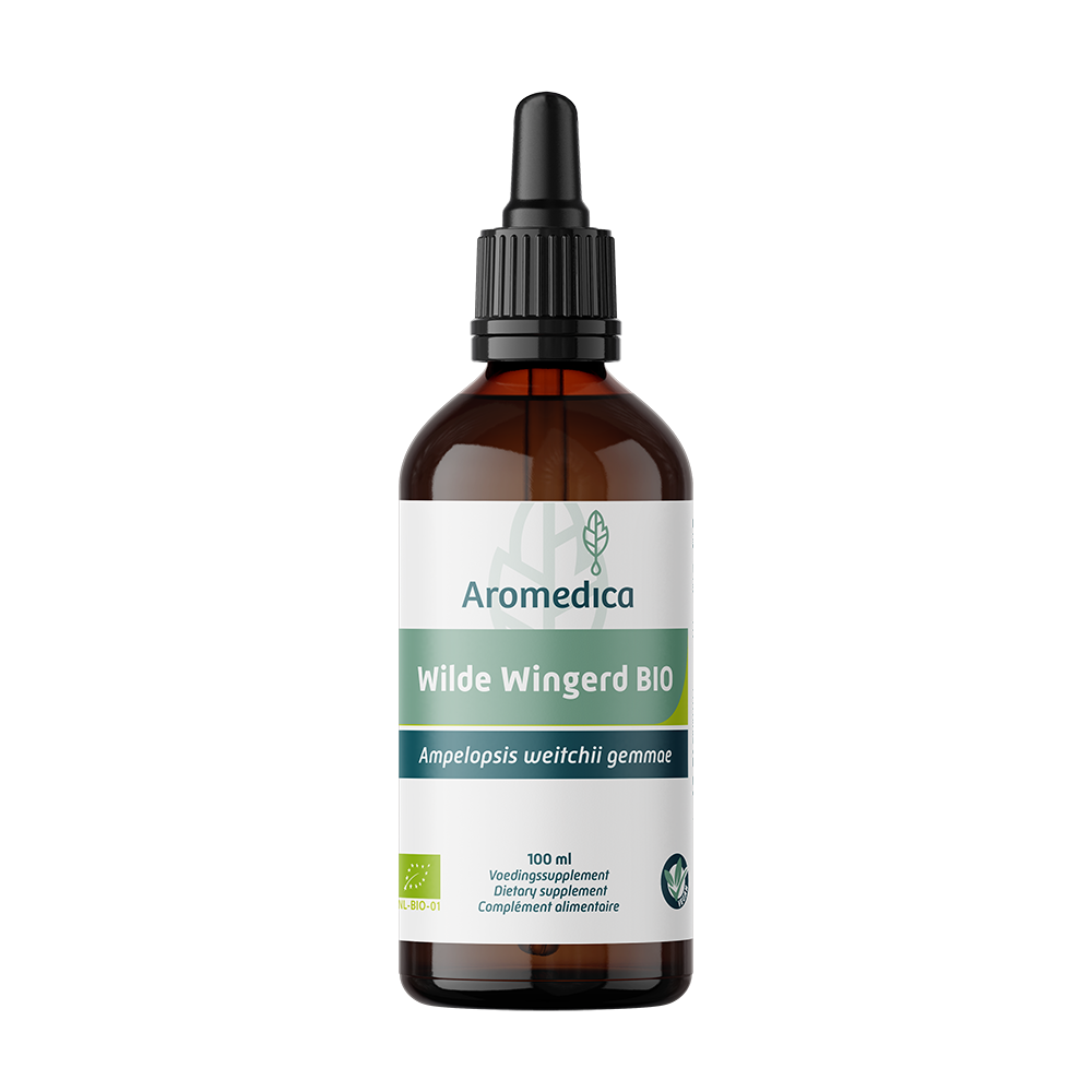 Aromedica Wilde wingerd gemmo tinc - Ligustrum vulgare bio 100.00 Milliliter