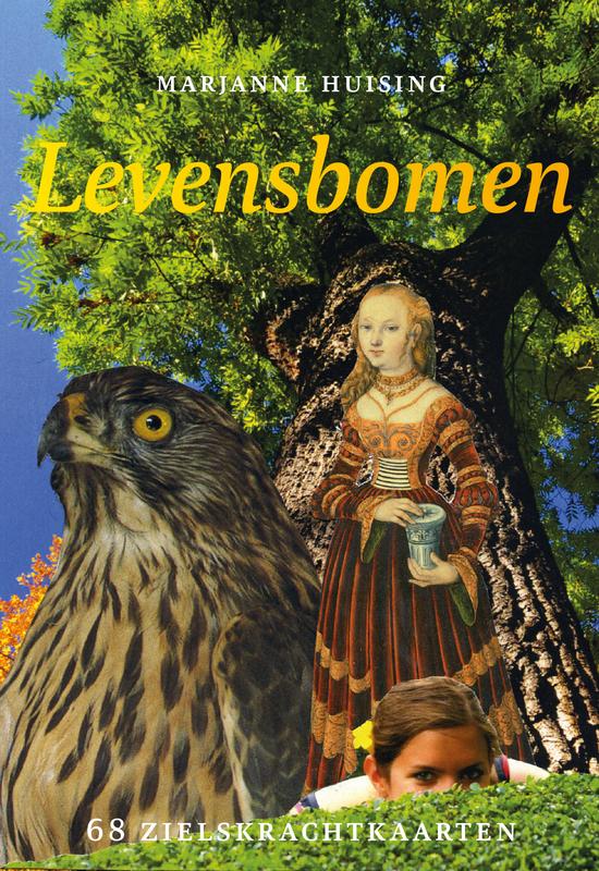 A3 boeken Levensbomen 68 zielskrachtkaarten set featuring colorful cards with spiritual and symbolic designs for personal growth.