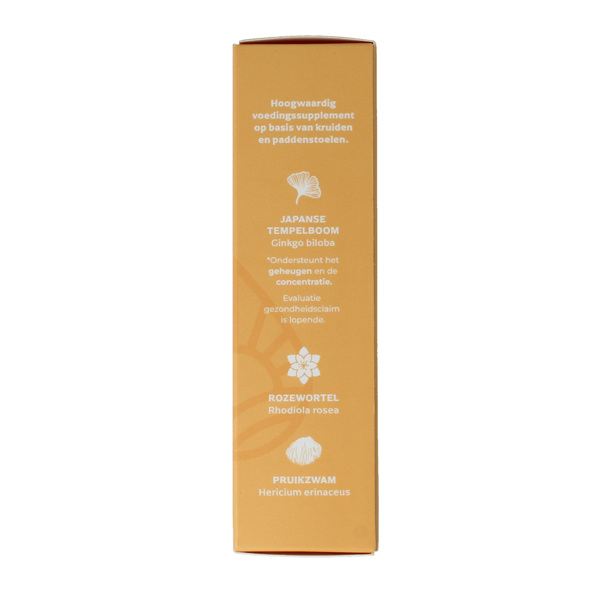 DRUP Kruidenpreparaten 50.00 Milliliter DRUP Kruiden paddenstoelextract focus 50.00 Milliliter