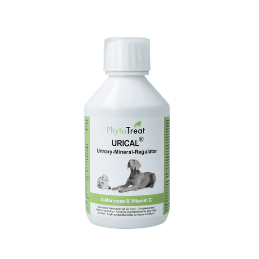 PhytoTreat Urical dietary supplement for pets in 250ml bottle, natural pet health support supplement from PhytoTreat.