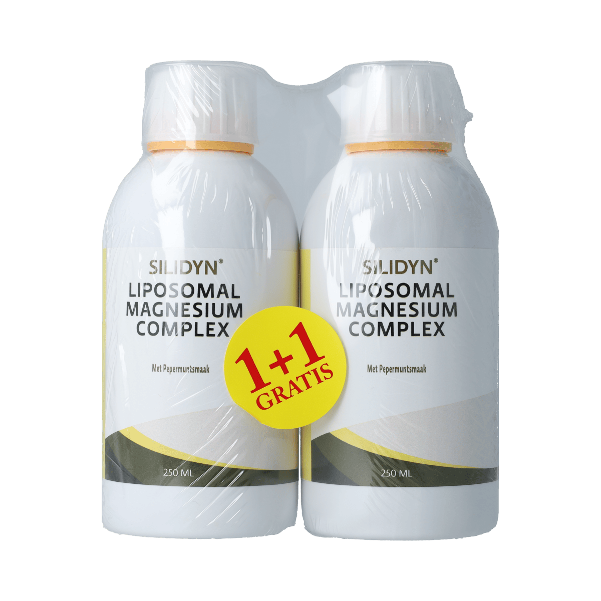 Silidyn Mineralen Multi 500.00 Milliliter Silidyn Liposomal Magnesium Compl 250ml AKTIE 1+1 gratis 500.00 Milliliter
